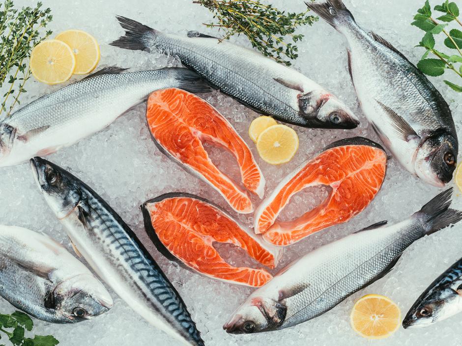 Fisch kochen