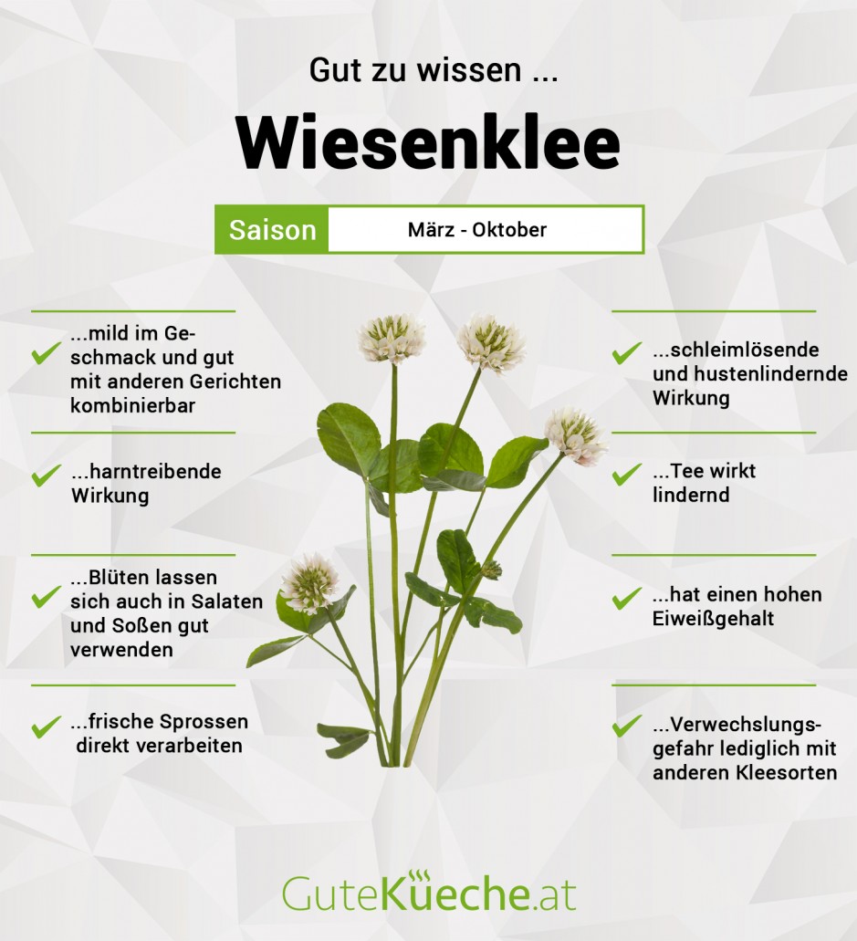 Wiesenklee