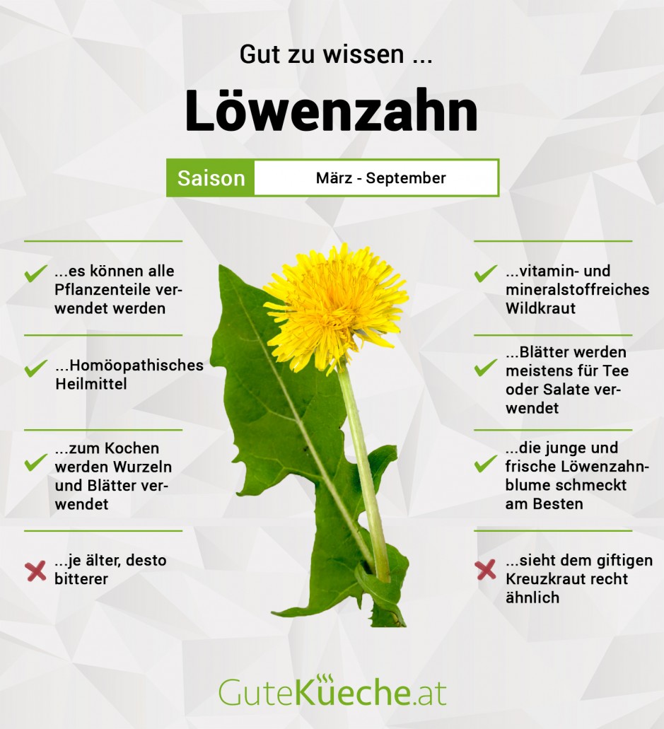 Löwenzahn