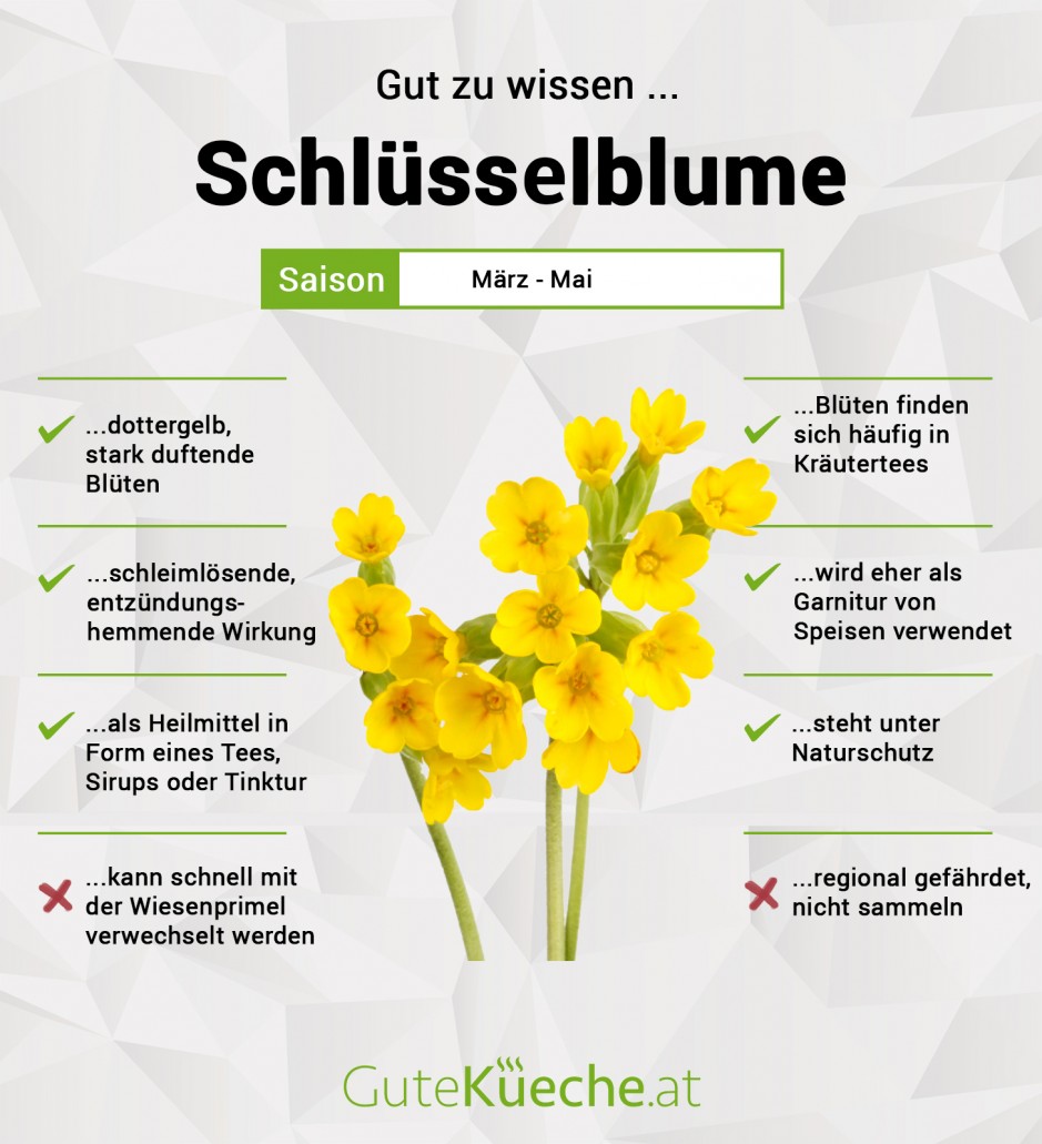 Schlüsselblume