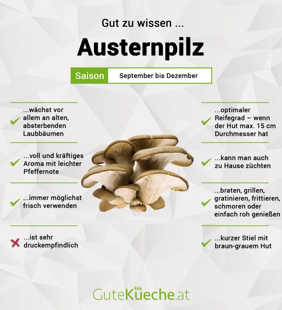 Austernpilz (Austernseitling)