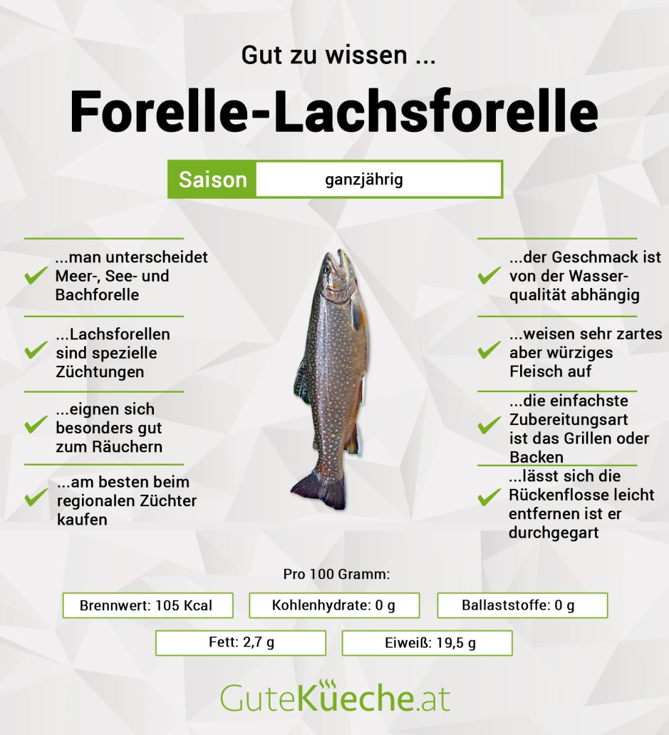 Forelle-Lachsforelle