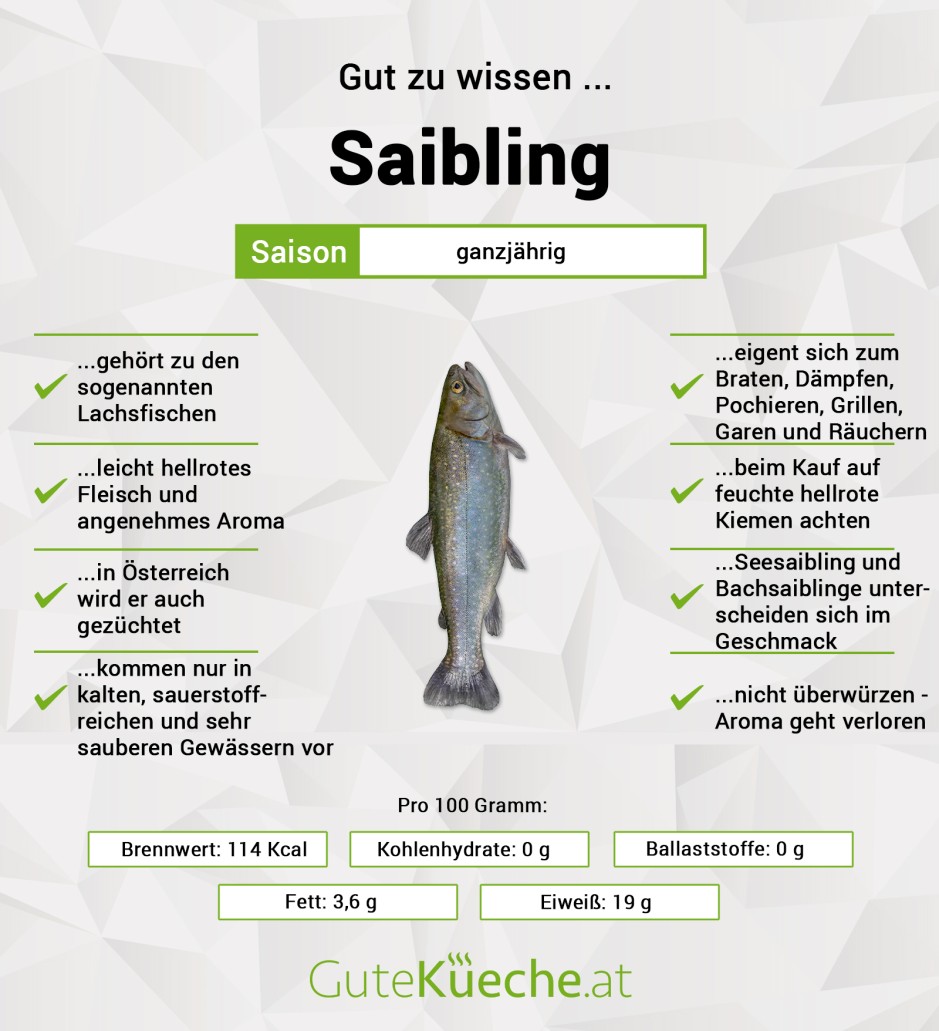 Saibling