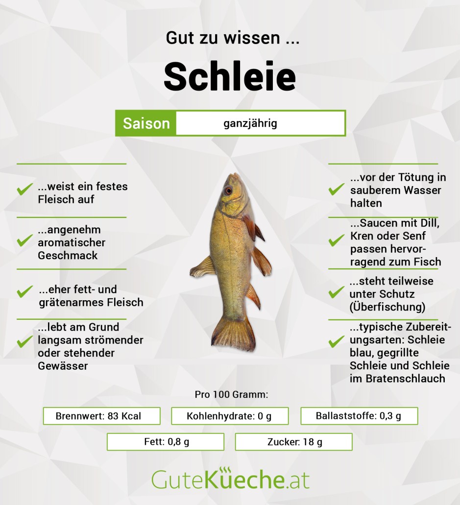 Schleie