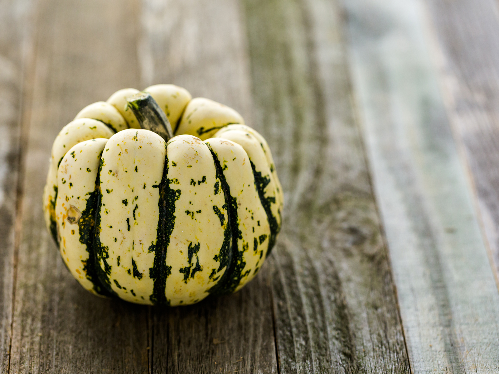 Carnival Kürbis Rezepte, Tee Ton Slum Carnival Kürbis Ofen Rinne Schauspiel Abendessen Machen