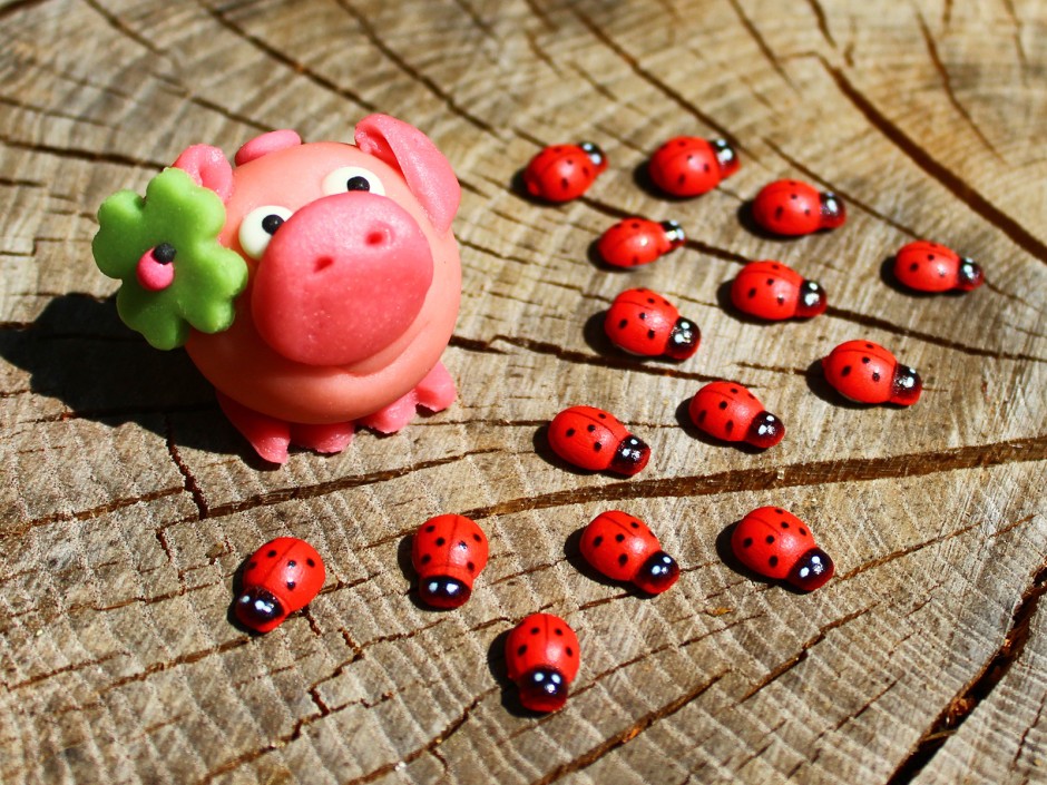 Silvester Bräuche - Schwein gehabt!