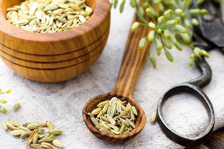 Fenchel