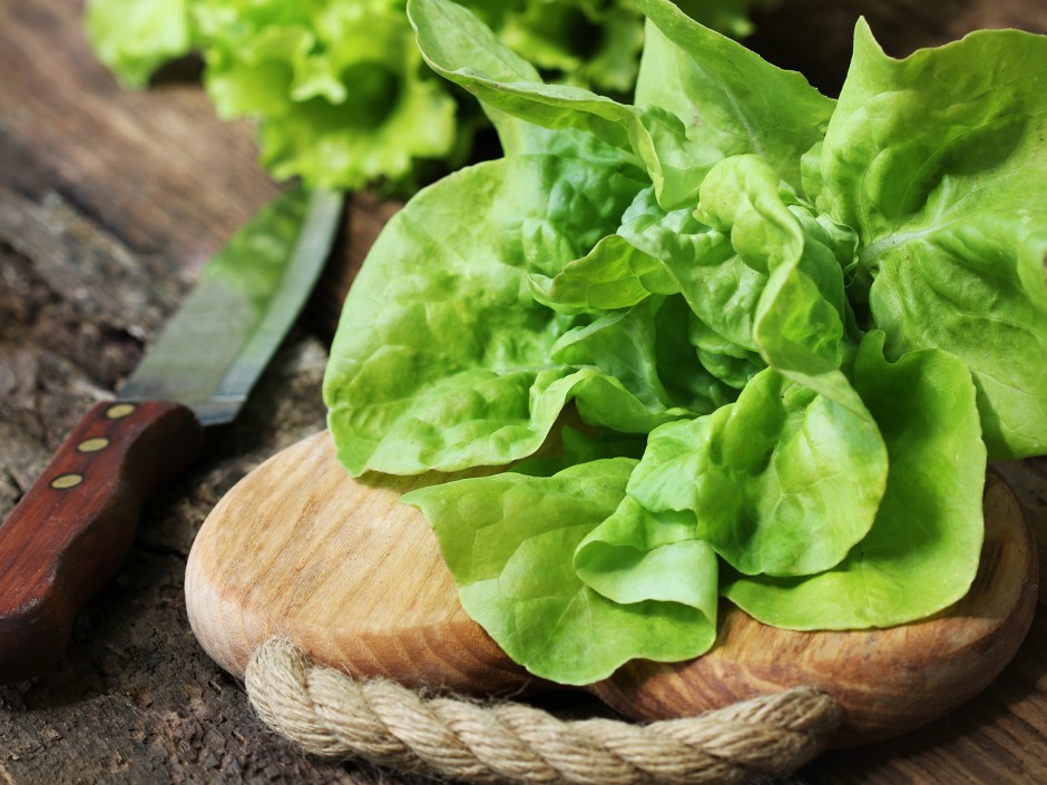 Regrowing - Salate