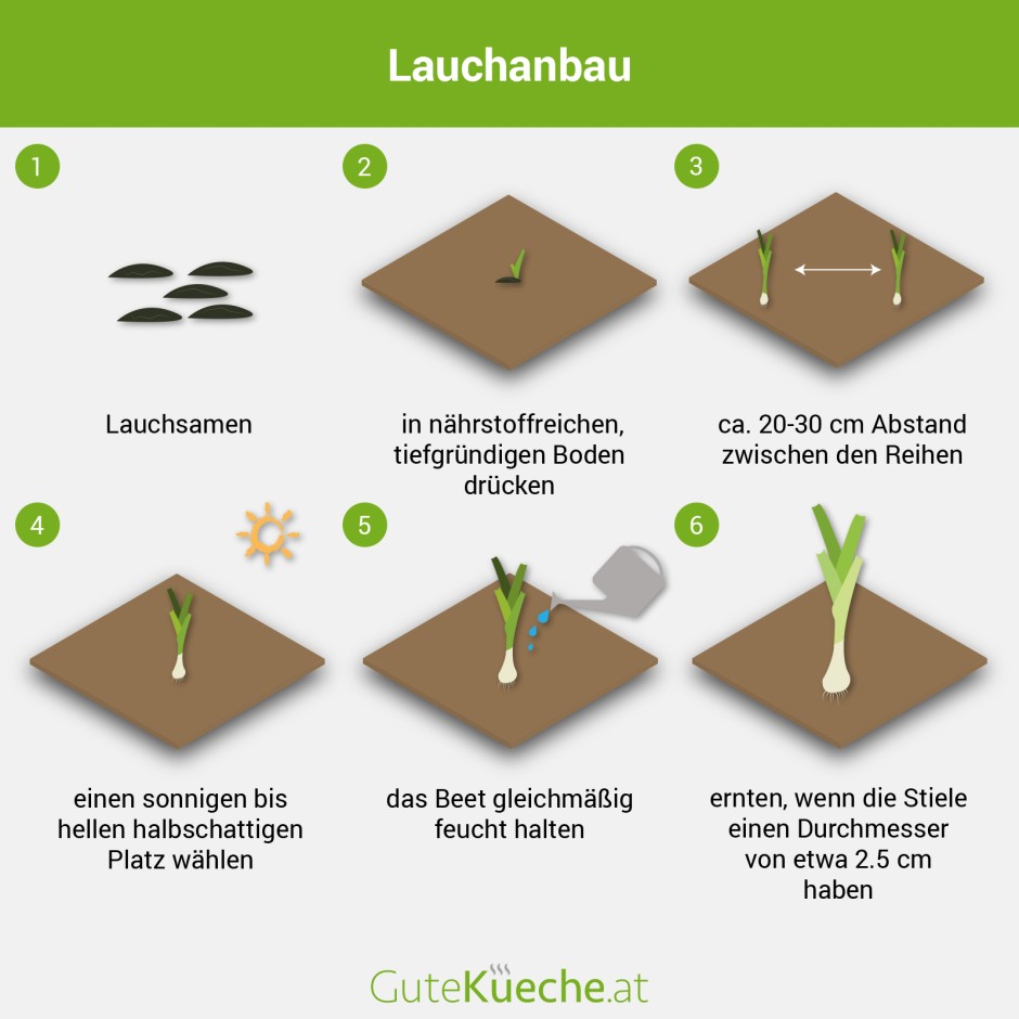 Porree-Lauch