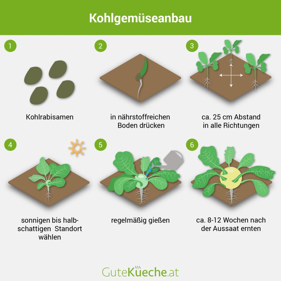 Kohlgemüse 