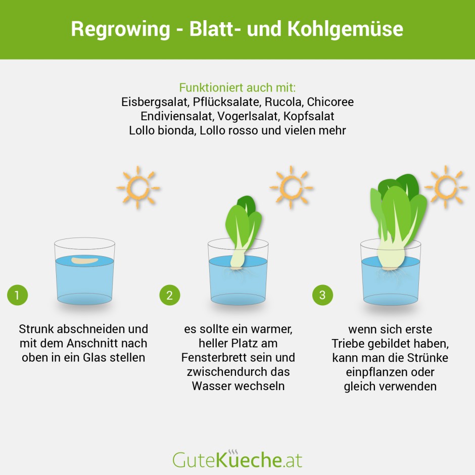 Regrowing - Blatt- und Kohlgemüse