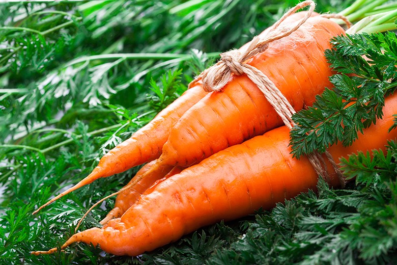 Fermentierte Karotten - Saures Wurzelgemüse
