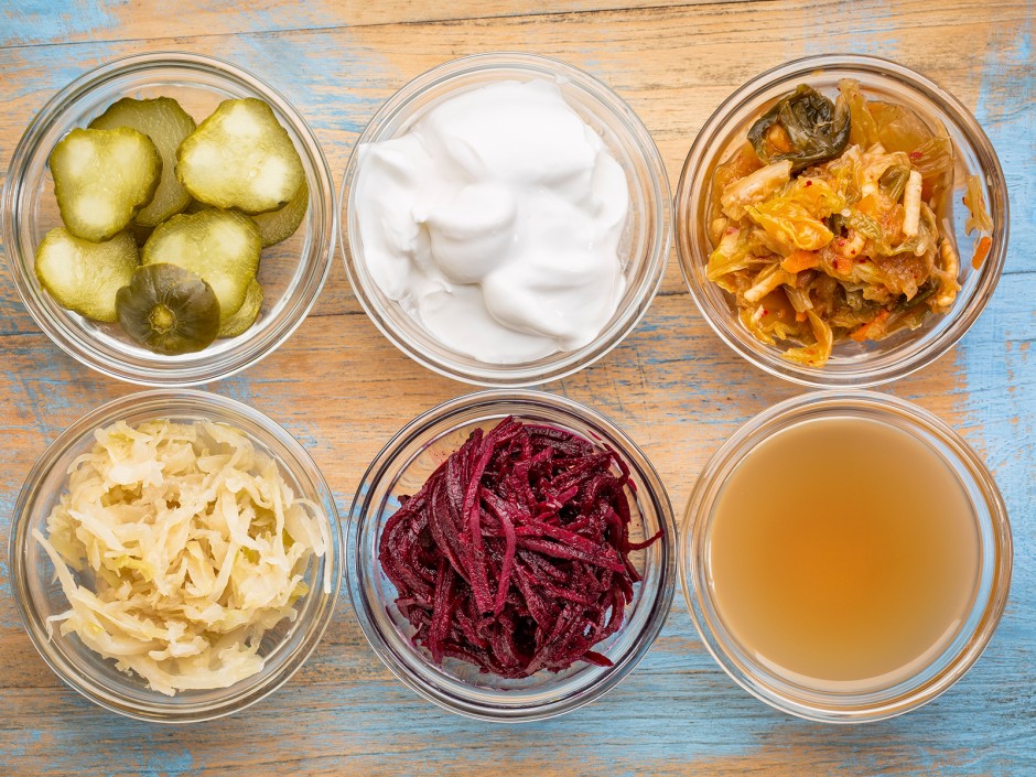 Das Ferment - Ein Probiotikum