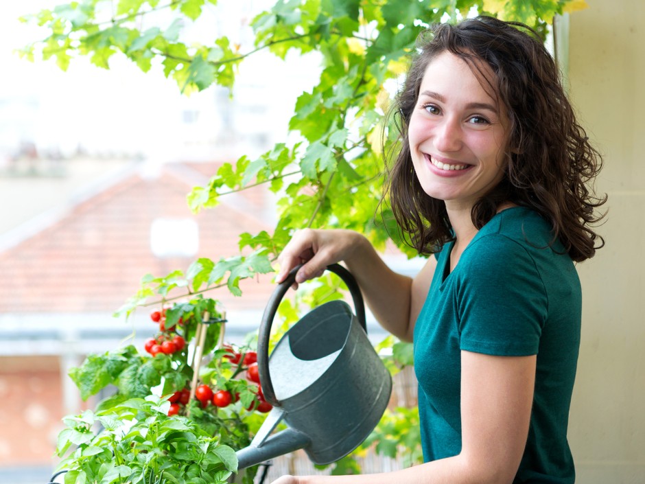 Urban Gardening - Am eigenen Balkon