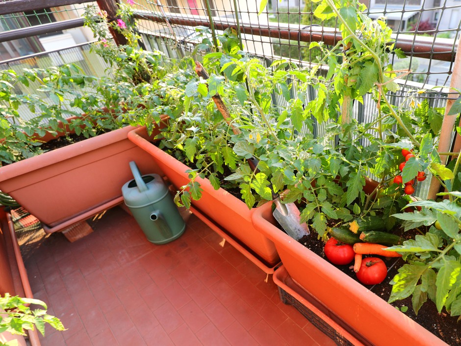Urban Gardening - Am eigenen Balkon