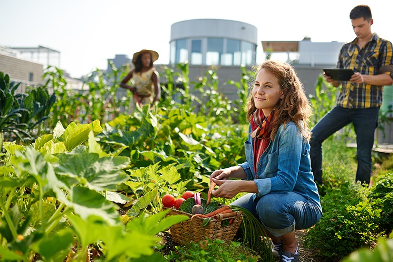 Urban Gardening - Gemeinschaftsgärten