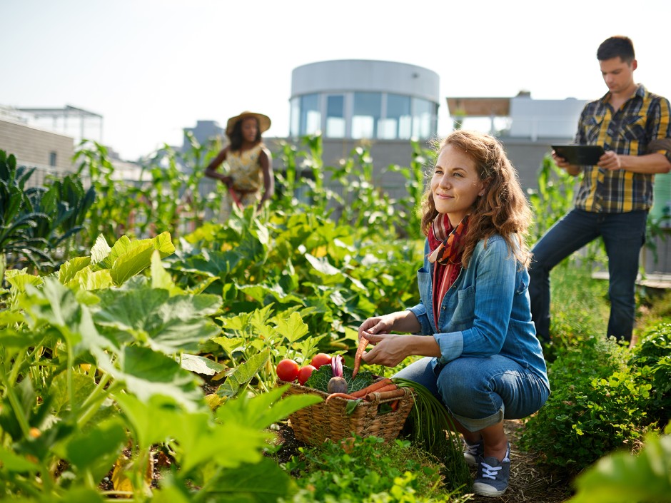 Urban Gardening - Gemeinschaftsgärten | GuteKueche.at