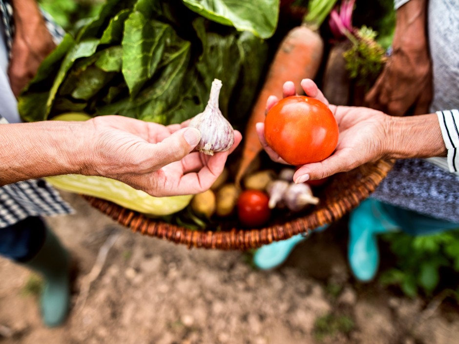 Urban Gardening - Gemeinschaftsgärten