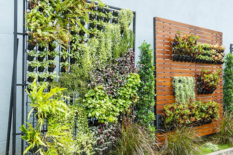 Vertikale Gärten - Die lebende Außenwand (Living Wall)