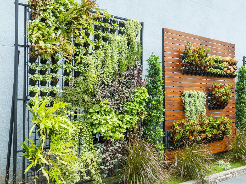 Vertikale Gärten - Die lebende Außenwand (Living Wall)