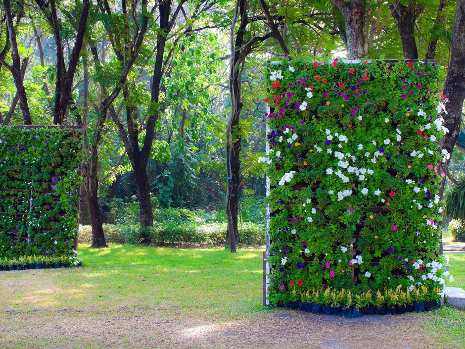 Vertikale Gärten - Die lebende Außenwand (Living Wall)