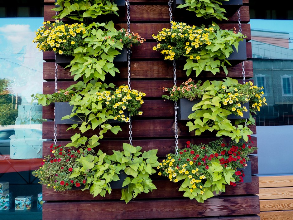 Vertikale Gärten - Die lebende Außenwand (Living Wall)