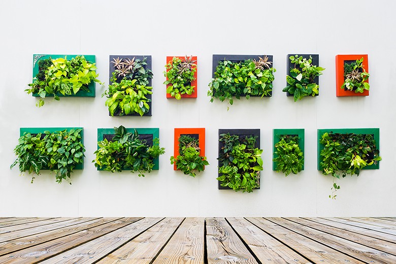 Vertikale Gärten - Der moderne vertikale Garten