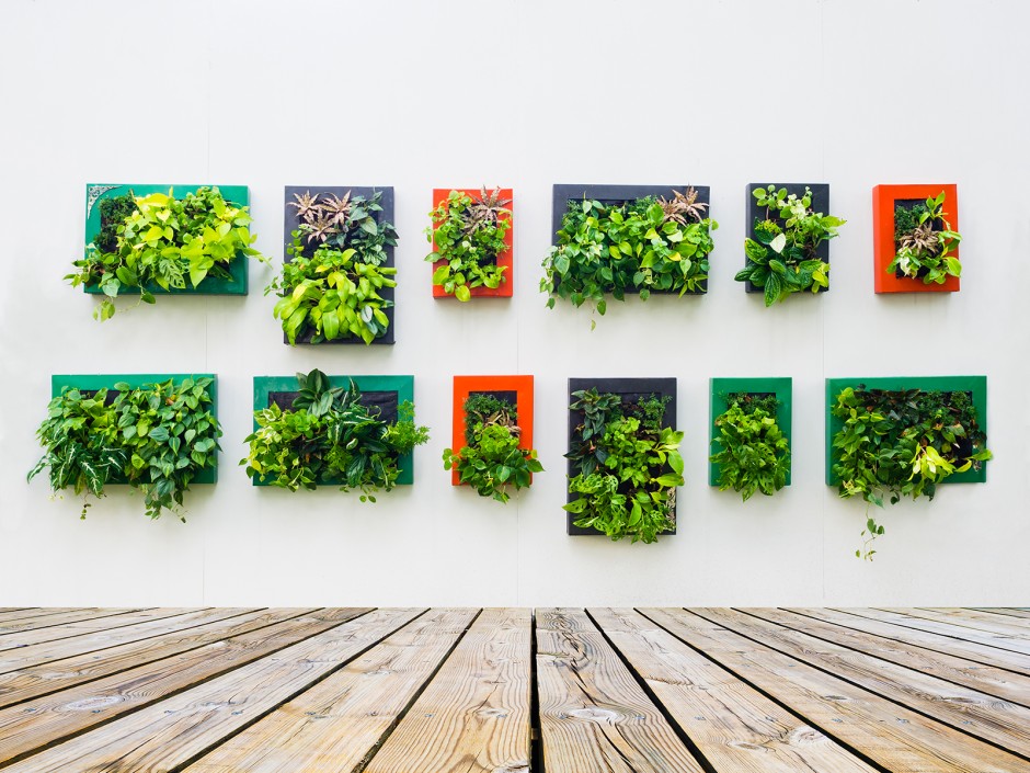 Vertikale Gärten - Der moderne vertikale Garten