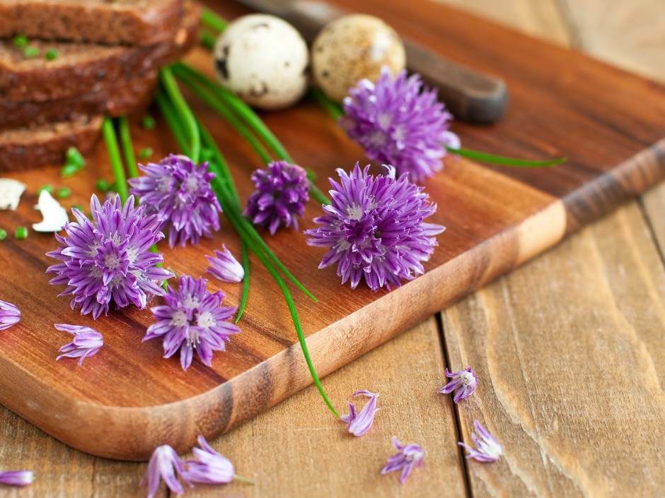Schnittlauchblüten in der Küche