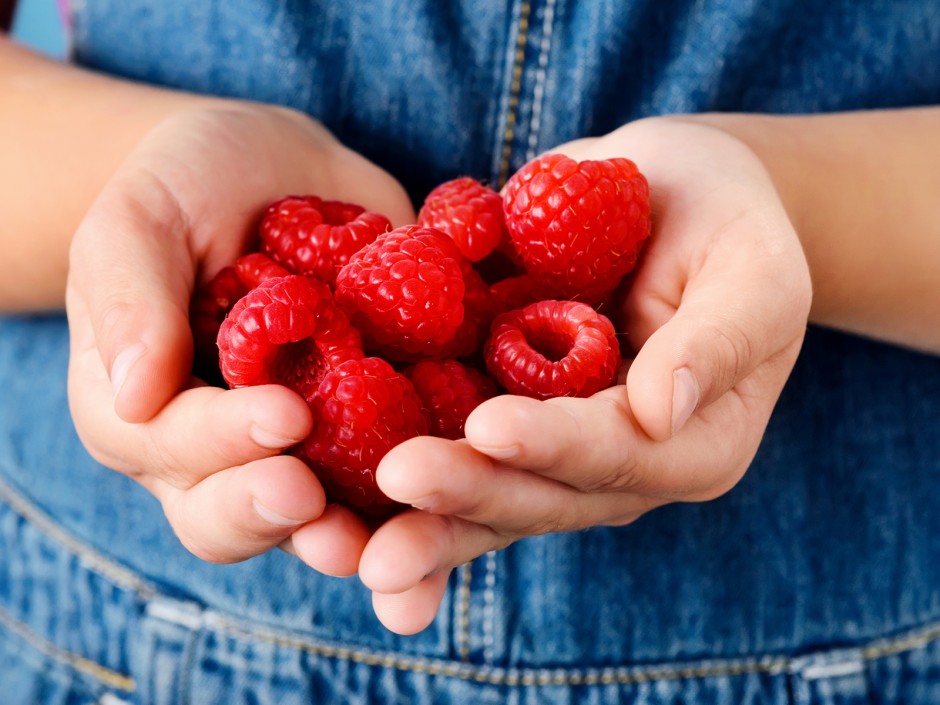 Himbeeren - Süßer und stacheliger Genuss