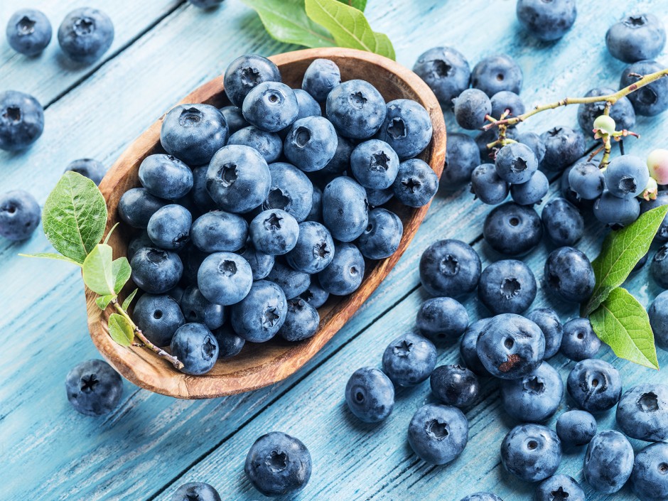 Heidelbeeren - Die heimischen Immunbooster
