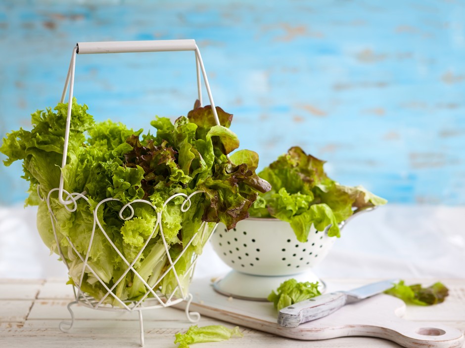 Blattsalat frisch halten