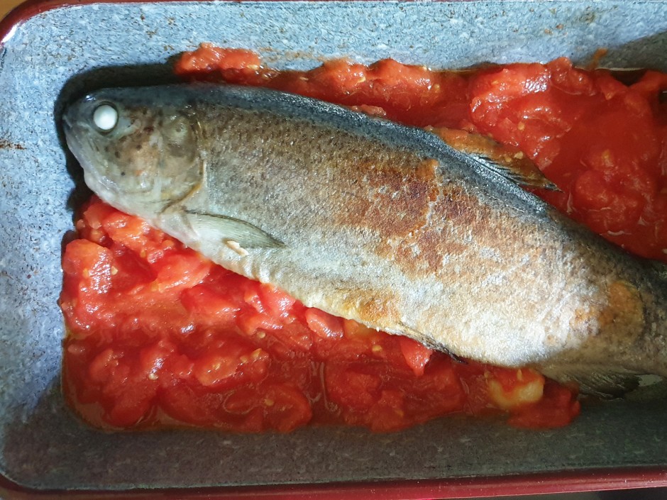 Geschmorte Forelle