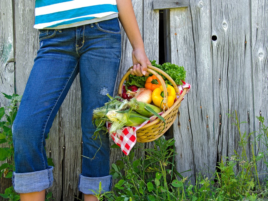 Selbstversorgen mit dem eigenen Garten