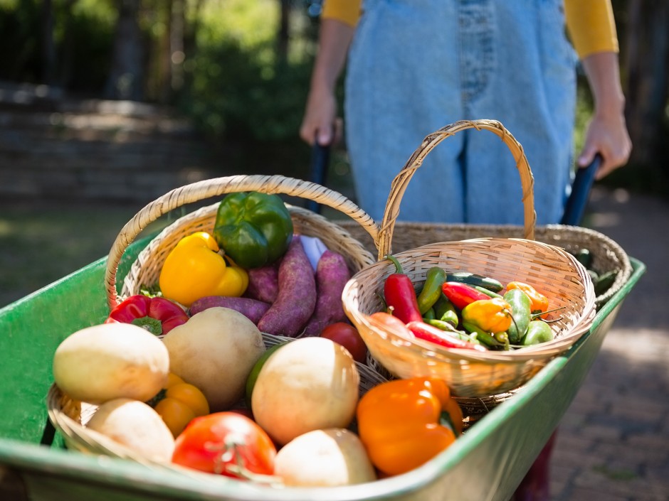 Selbstversorgen mit dem eigenen Garten