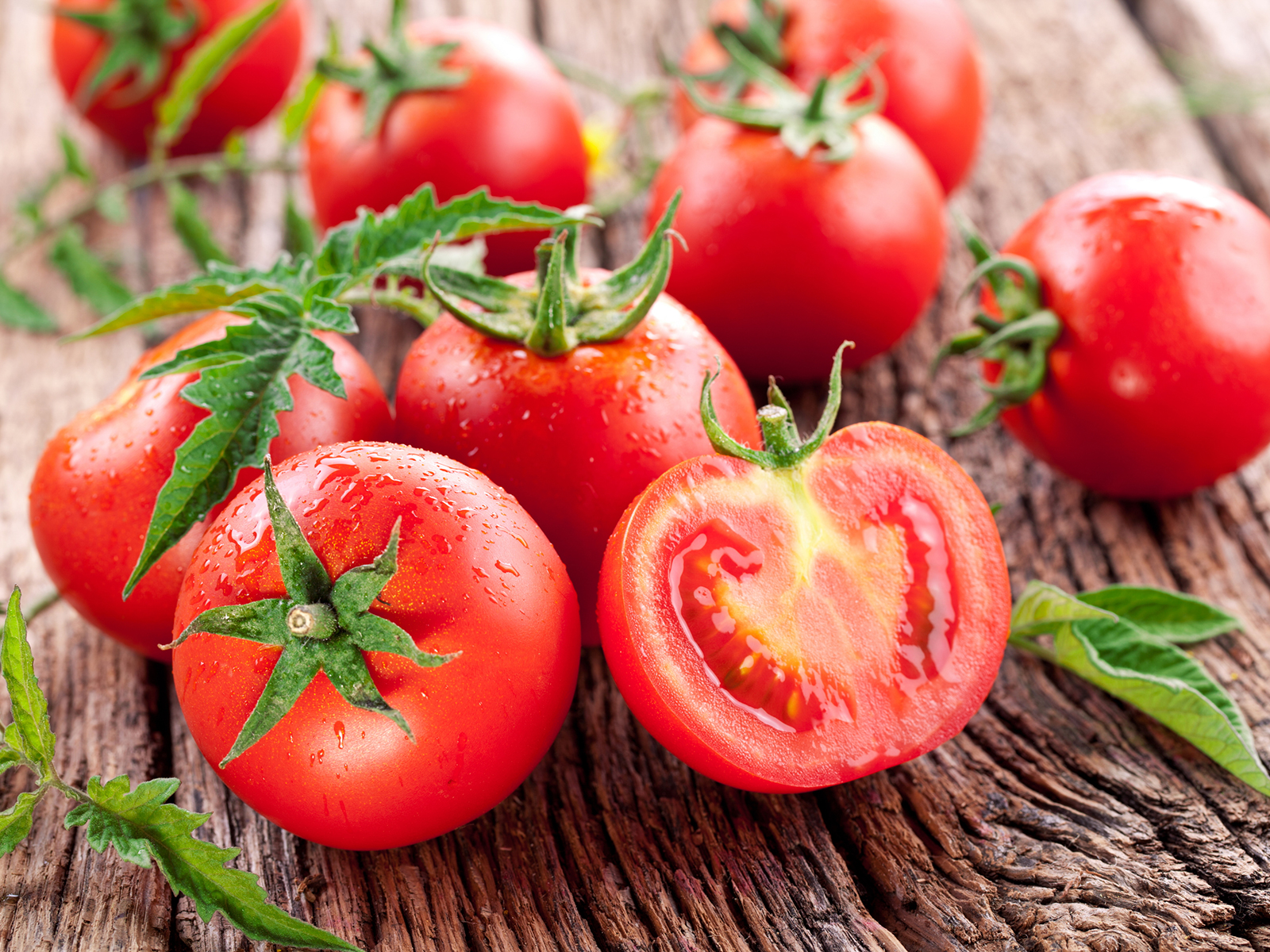 Tomaten richtig aufbewahren