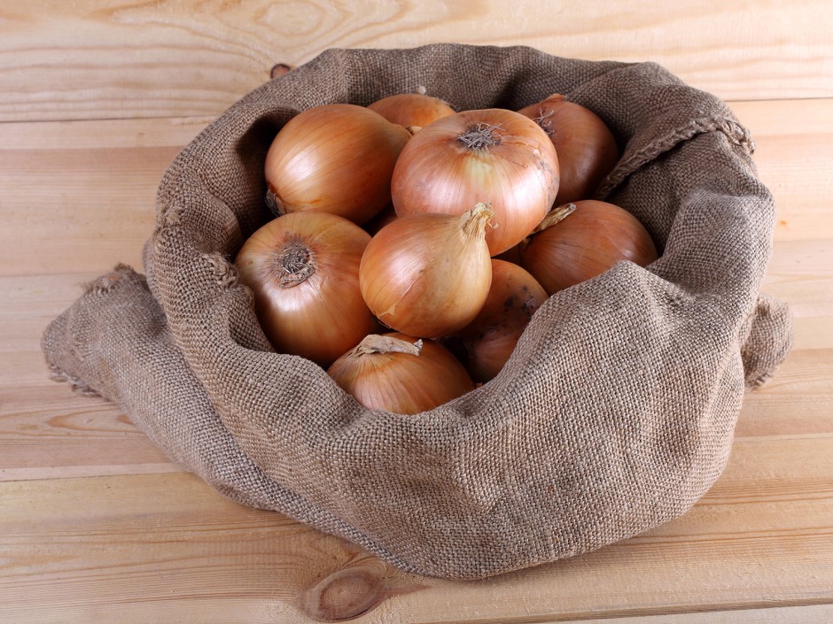 So keimen Zwiebeln nicht - Zwiebeln aufbewahren