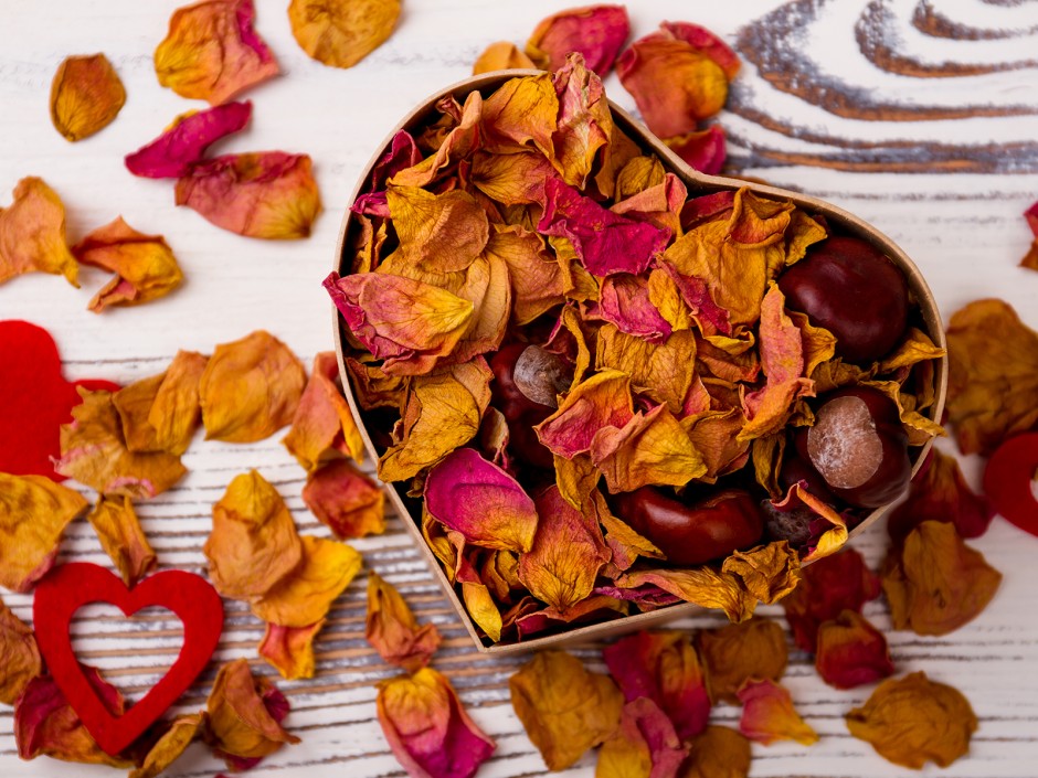 Potpourri, duftendes aus Küche und Garten