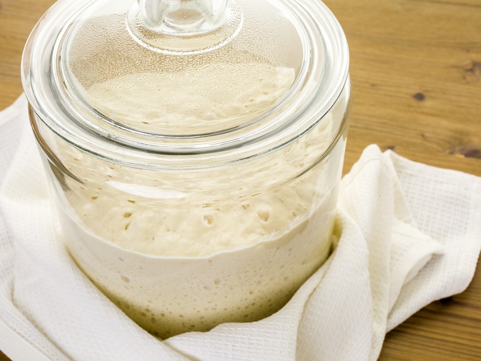 Hallo Hermann! Ein Sauerteig mit Wanderlust