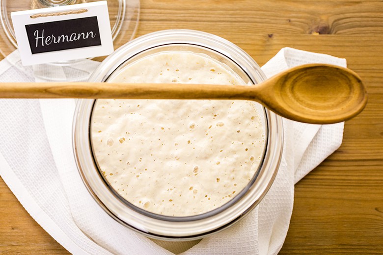 Hallo Hermann! Ein Sauerteig mit Wanderlust