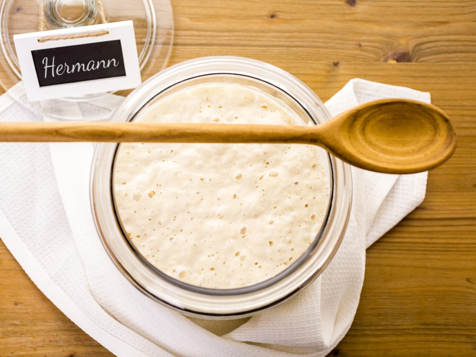 Hallo Hermann! Ein Sauerteig mit Wanderlust