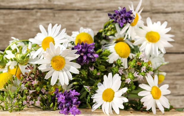 Essbare Blüten