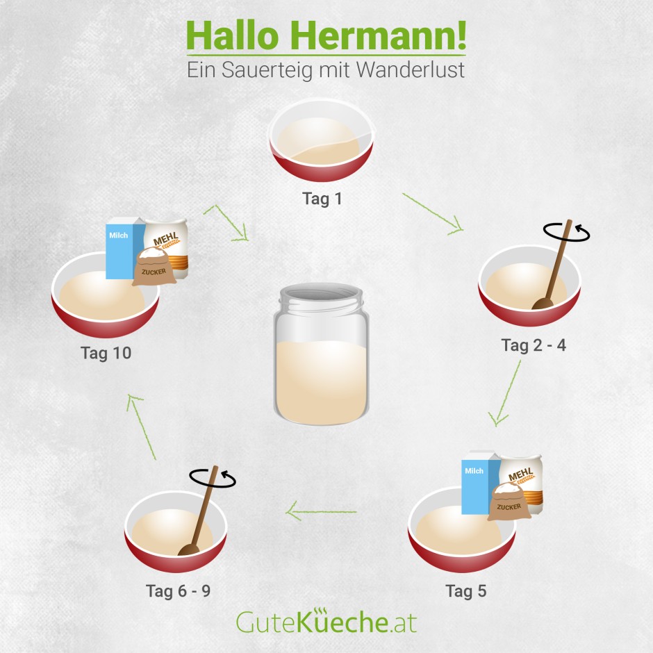 Hallo Hermann! Ein Sauerteig mit Wanderlust
