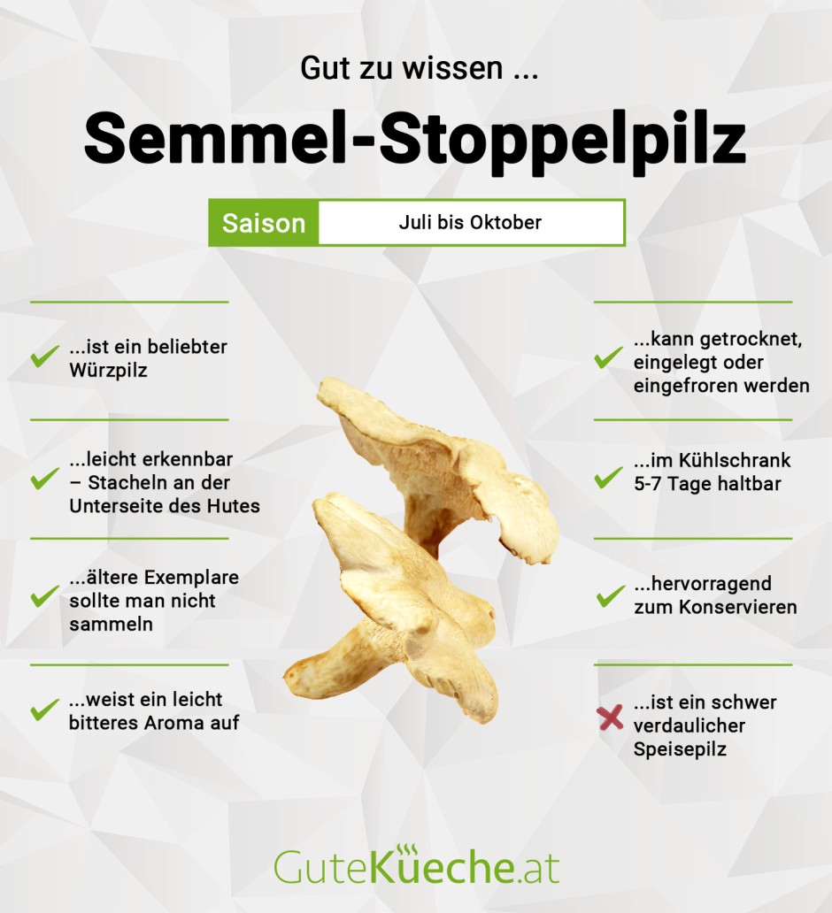 Semmel-Stoppelpilz