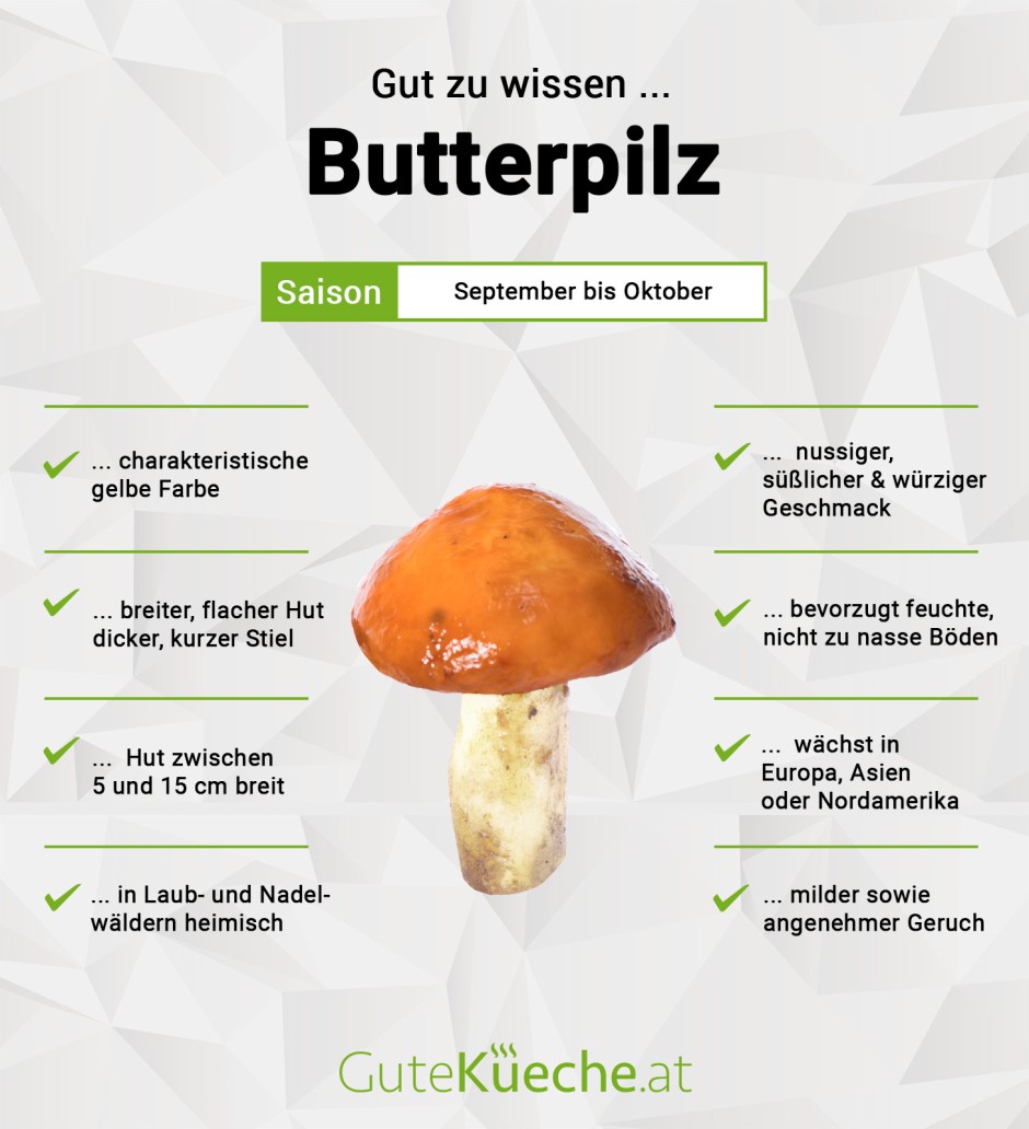 Butterpilz