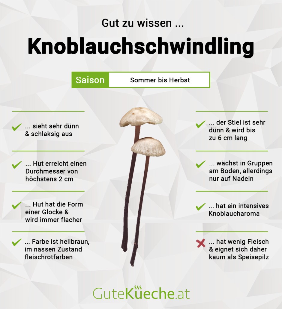 Knoblauchschwindling