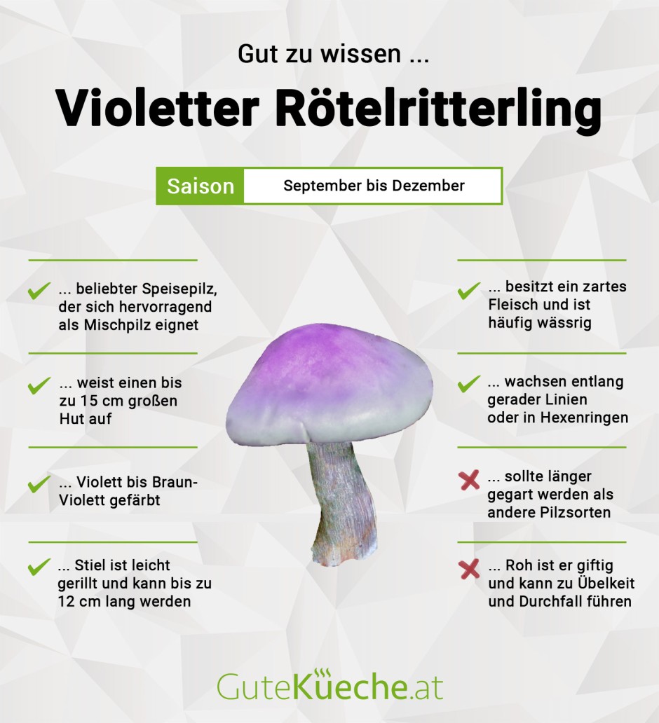Violetter Rötelritterling