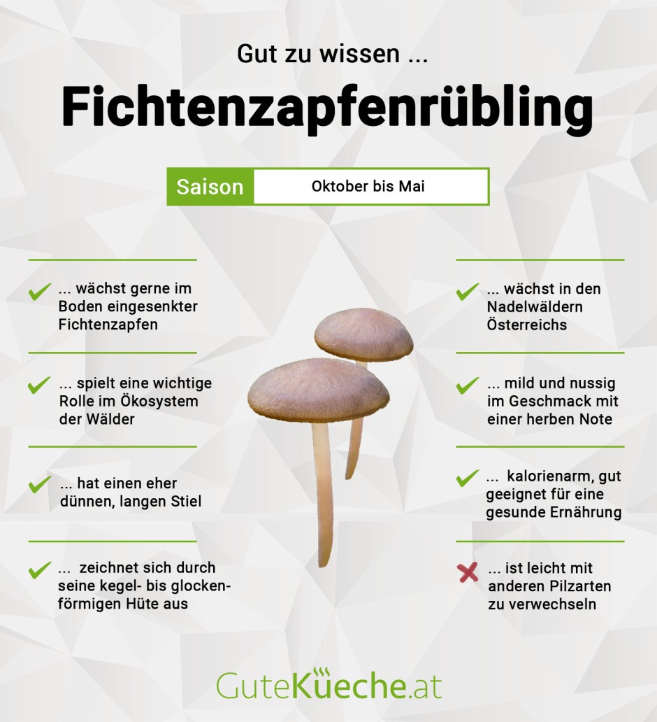 Fichtenzapfenrübling
