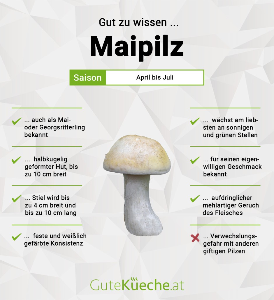 Maipilz