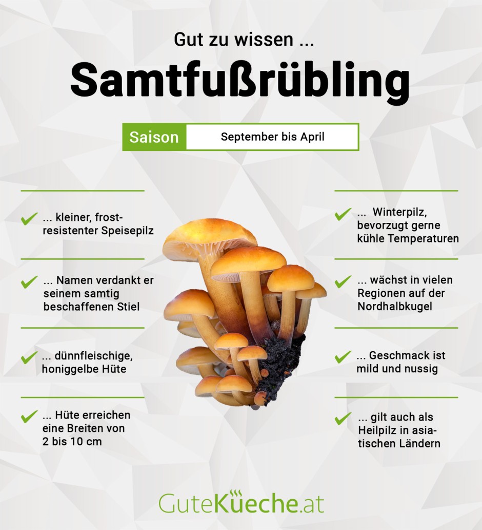 Samtfußrübling